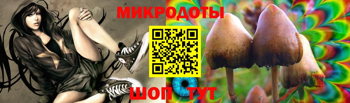 Псилоцибиновые грибы Psilocybine cubensis Будённовск