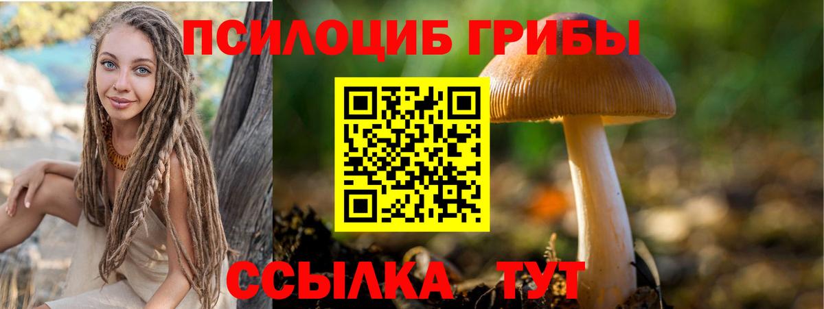 Галлюциногенные грибы Magic Shrooms  Галлюциногенные грибы ЛСД  Будённовск  Вход с VPN 