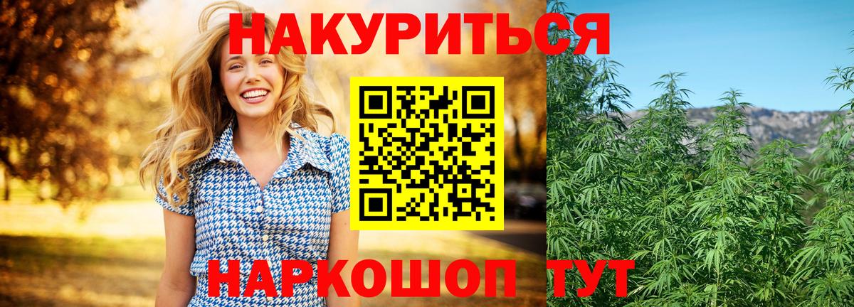 Марихуана конопля Будённовск